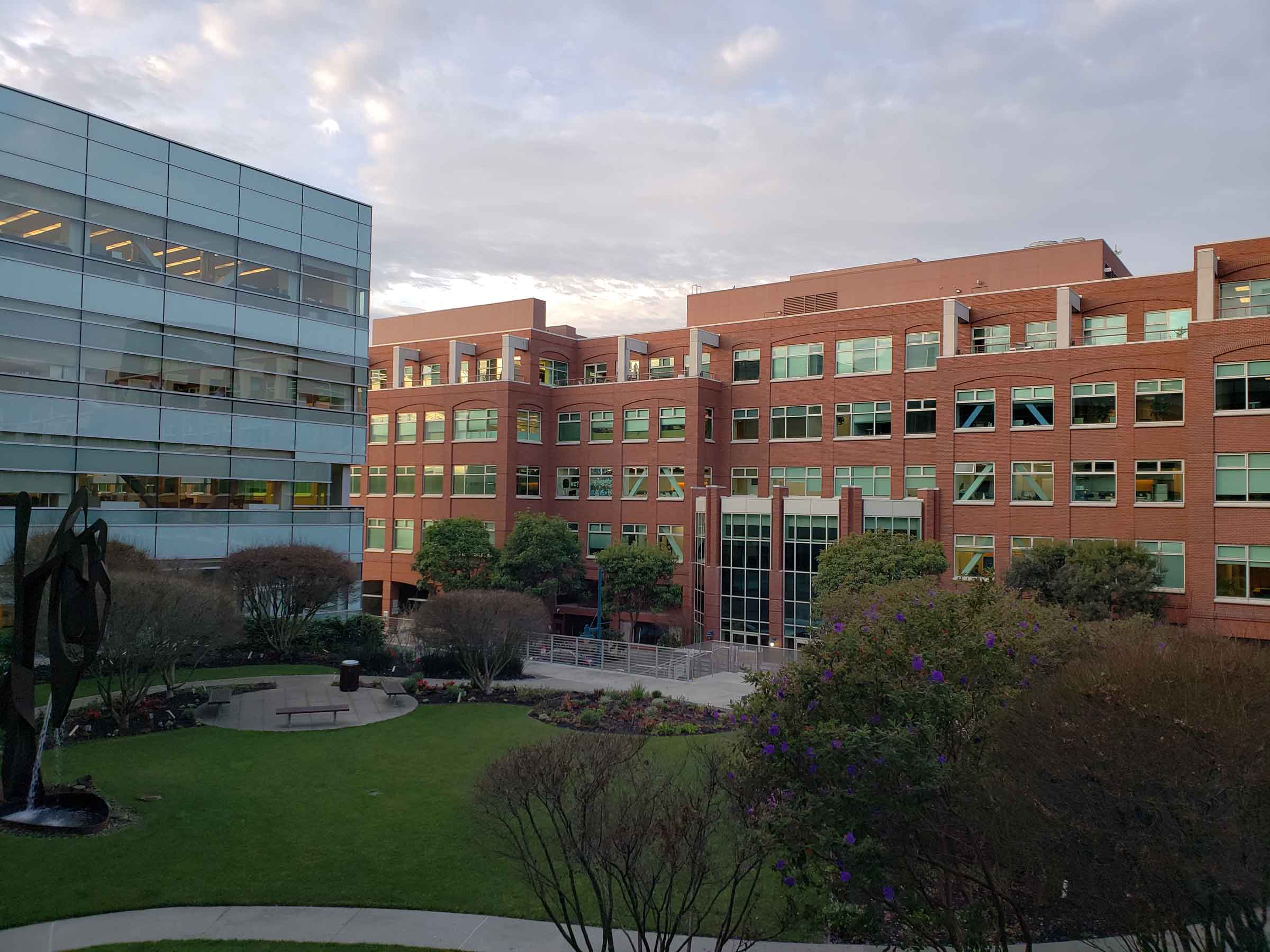 overview of the Amyris offices