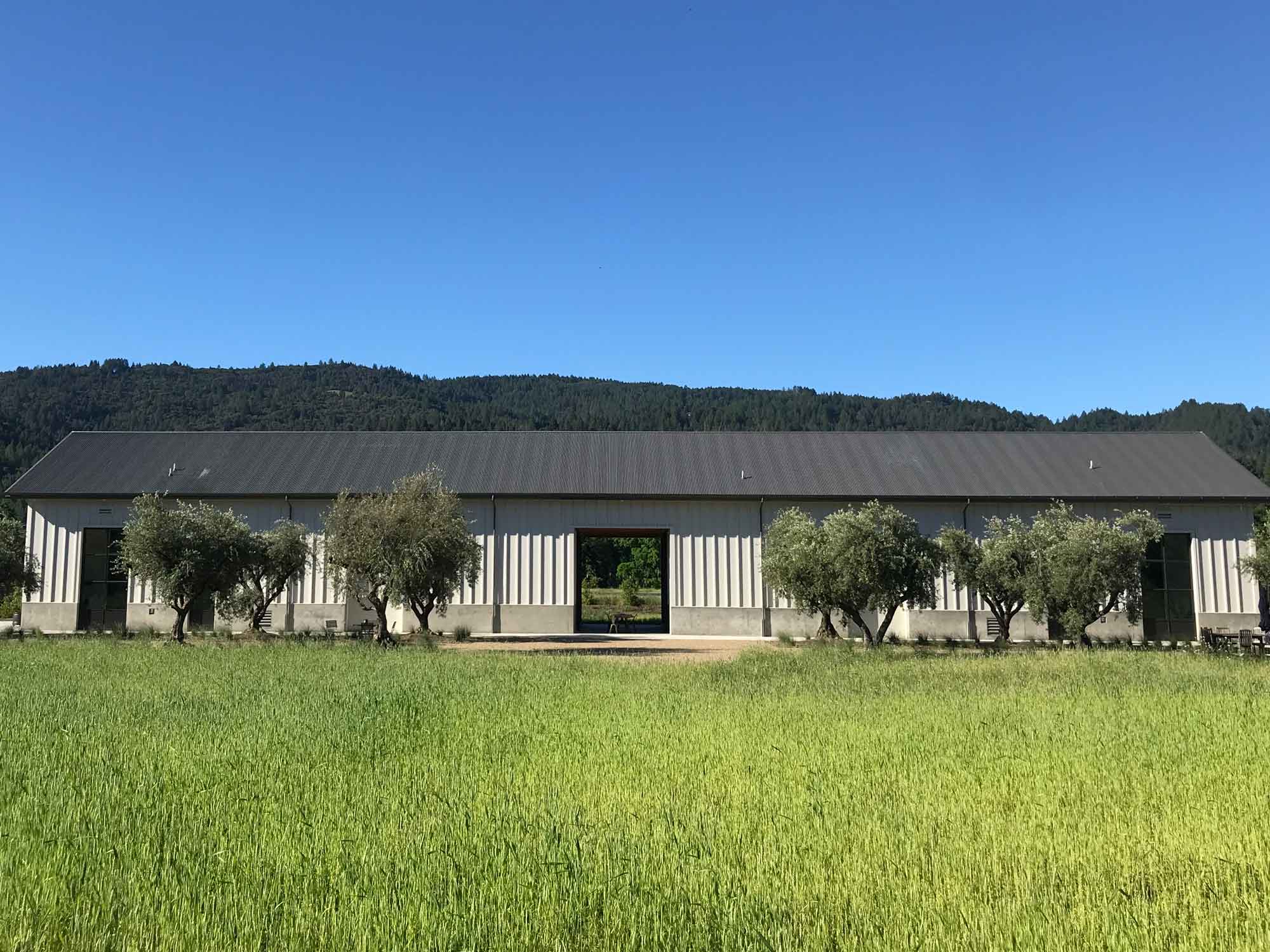 Fisher Vineyards